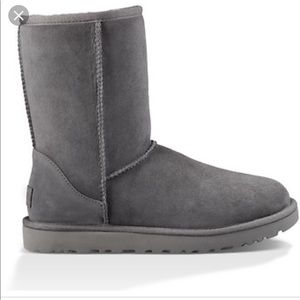 Gray uggs